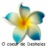 http://www.ocoeurdedeshaies.com/